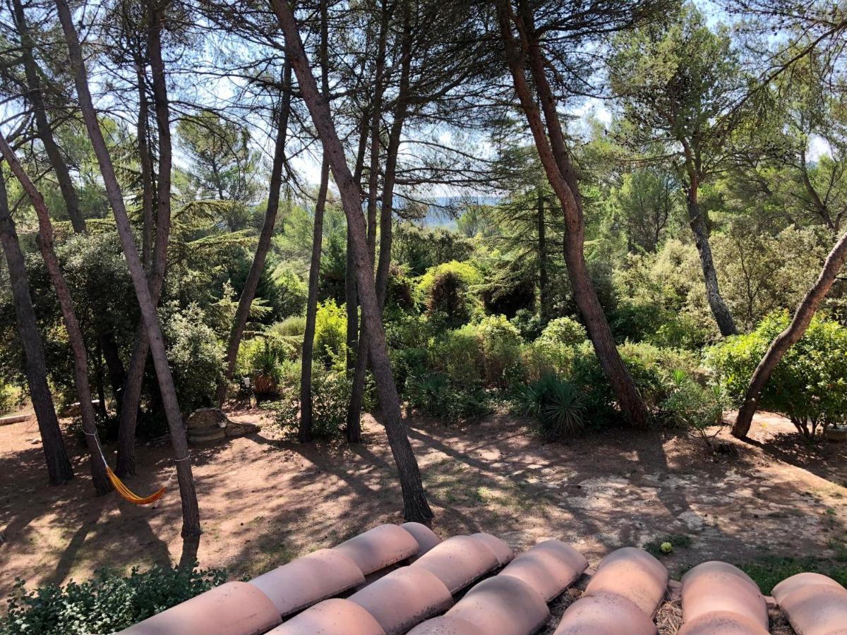 La Bastide-des-Jourdans Chambres Dans Le Luberon - Bois Romay المظهر الخارجي الصورة