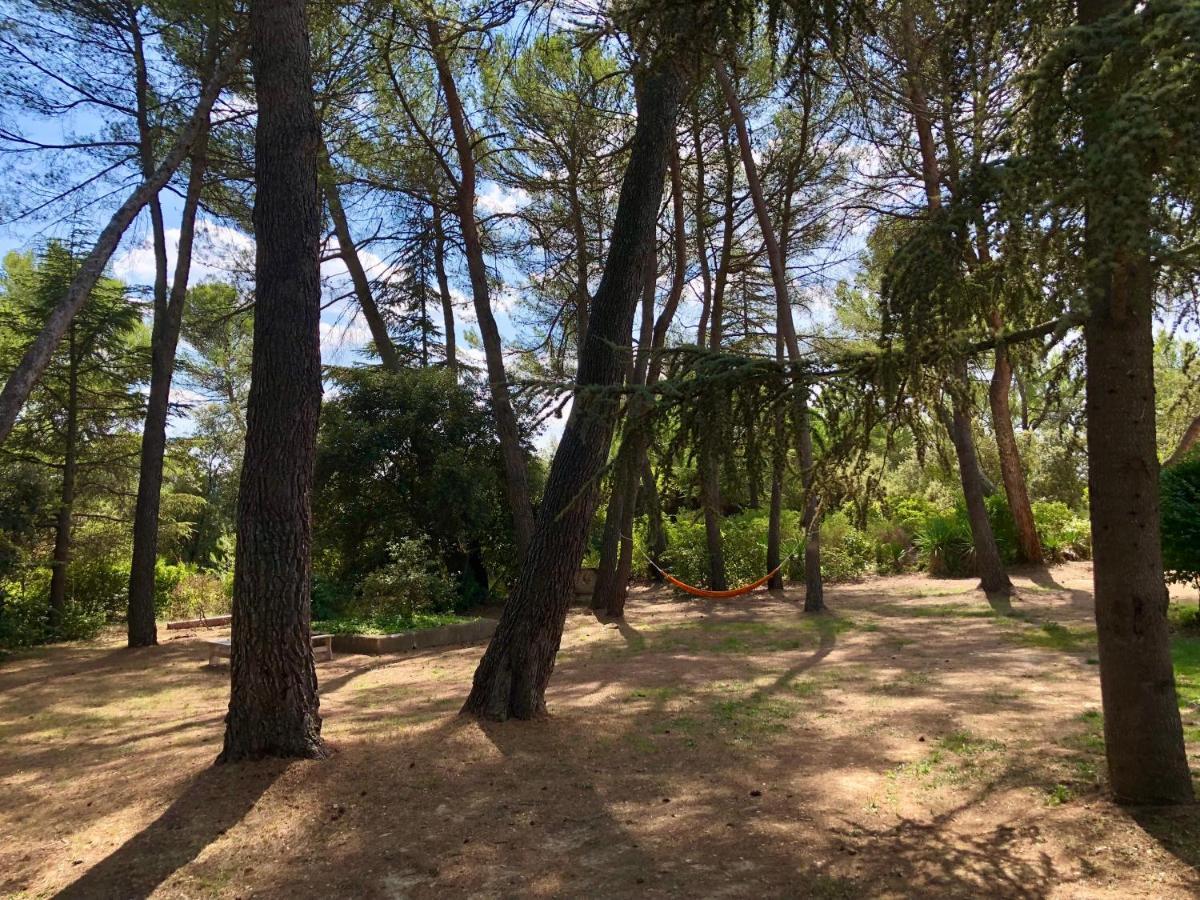 La Bastide-des-Jourdans Chambres Dans Le Luberon - Bois Romay المظهر الخارجي الصورة